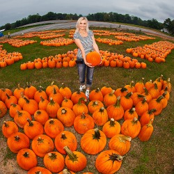  - IMG_0855-pumpkin-farm-alex-koloskov-250x250